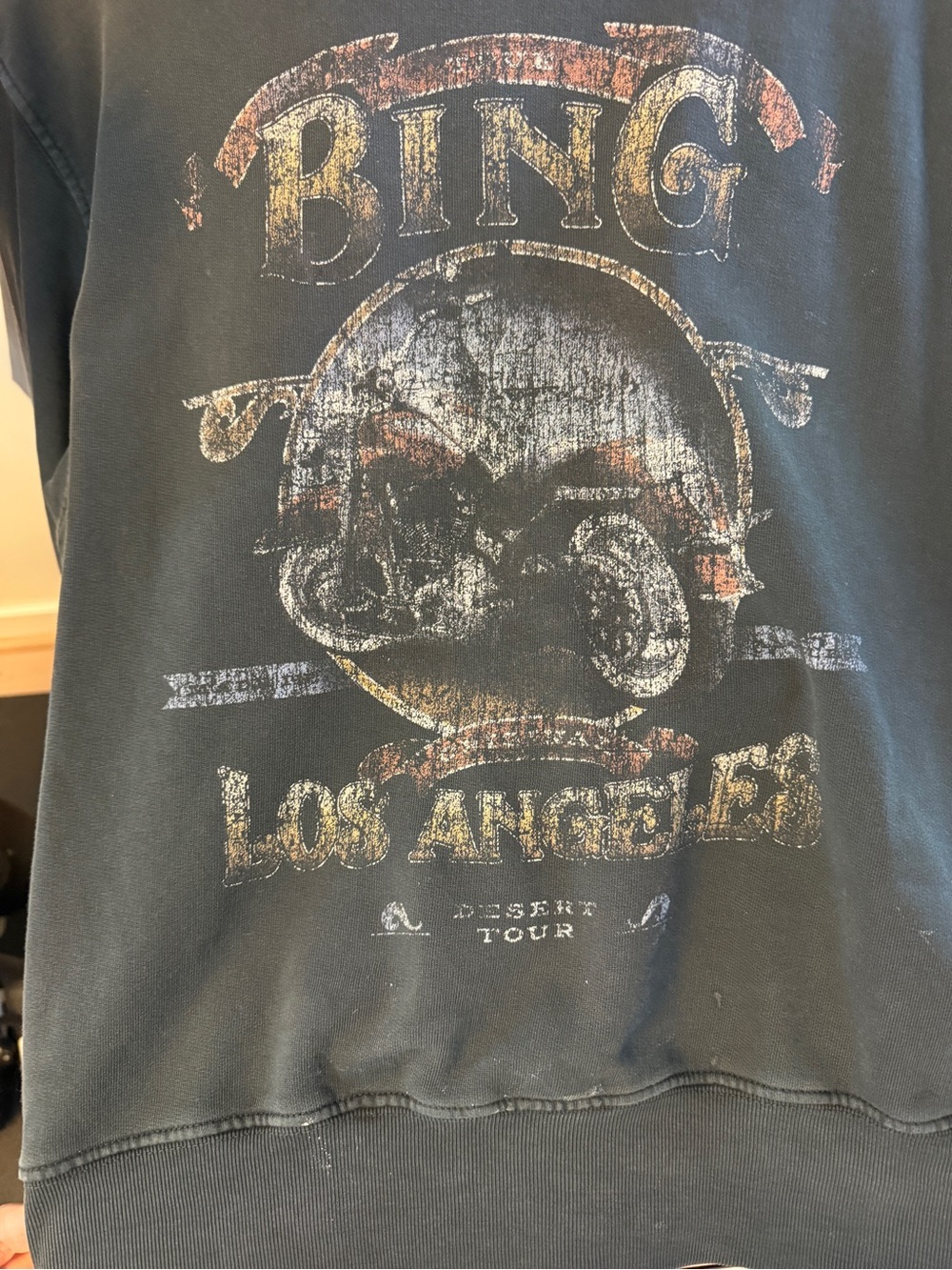 Anine Bing Black Graphic Motorcycle Sweatshirt with Faded Gold & Rust Print